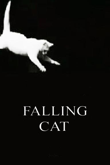 Falling Cat poster