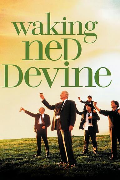 Waking Ned poster