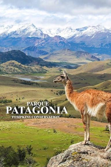 Parque Patagonia poster