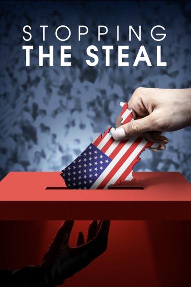 Stopping the Steal poster