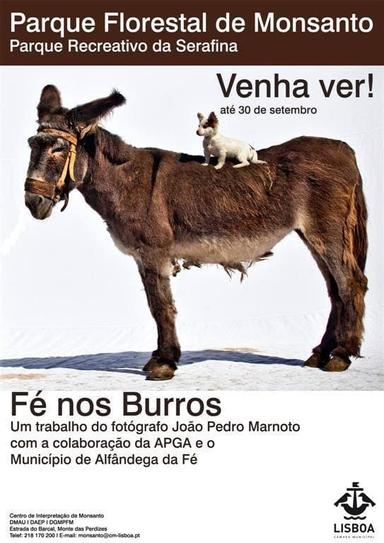 Fé nos Burros poster