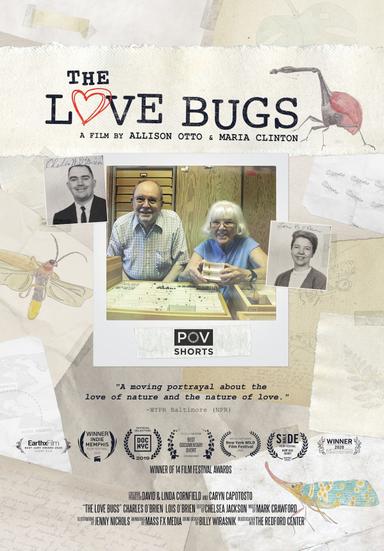 The Love Bugs poster