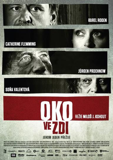 Oko ve zdi poster