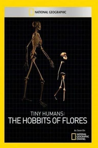 Tiny Humans: The Hobbit of Flores poster