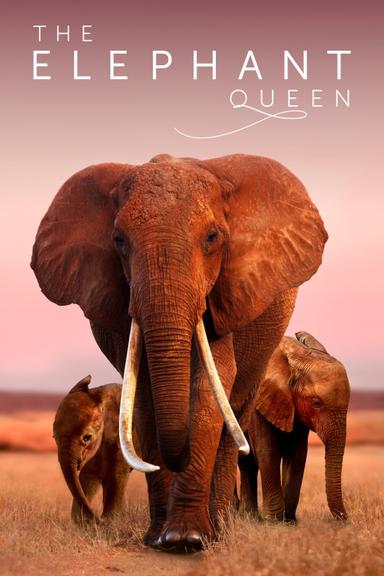 The Elephant Queen poster