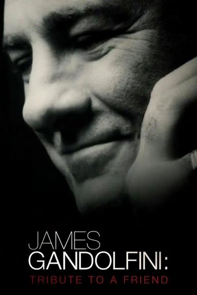 James Gandolfini: Tribute to a Friend poster