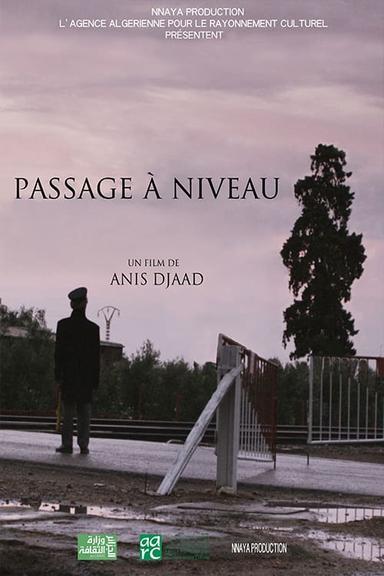 PASSAGE A NIVEAU poster