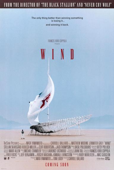 Wind poster