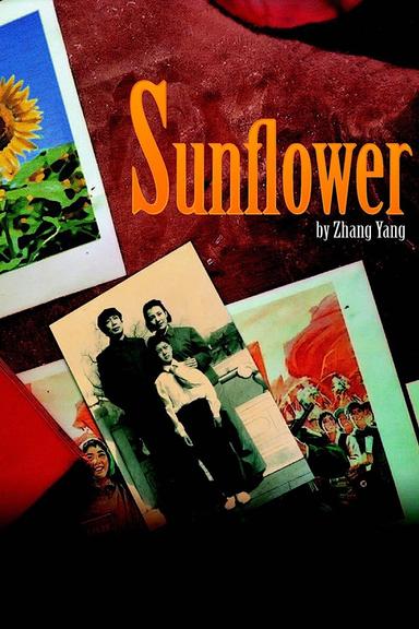 Sunflower poster