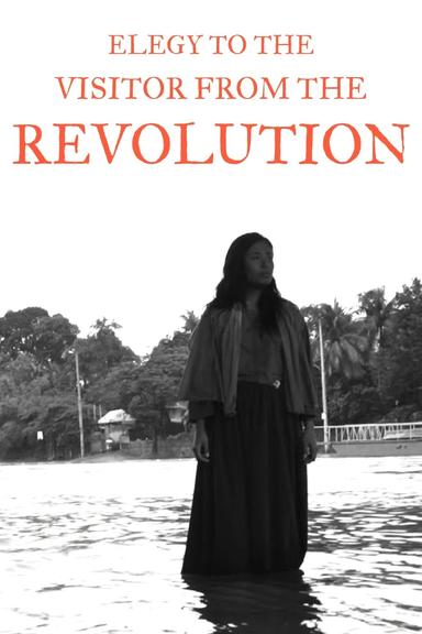 Elegy to the Visitor from the Revolution poster