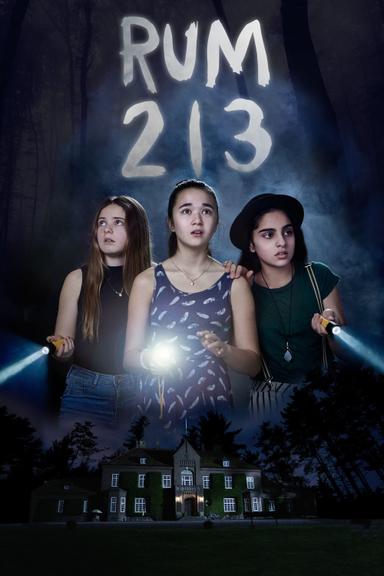 Room 213 poster