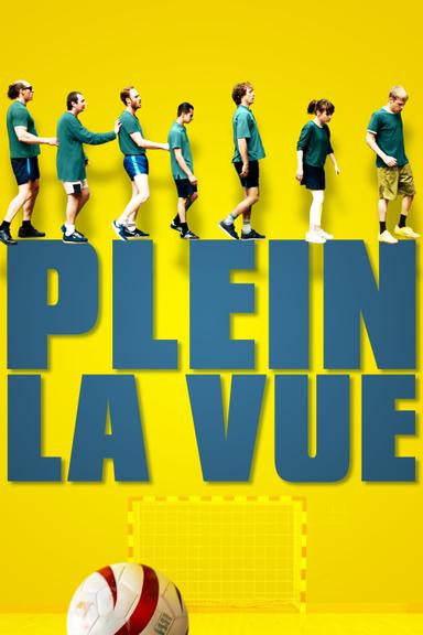 Plein la vue poster