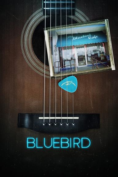 Bluebird poster