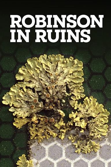 Robinson in Ruins poster