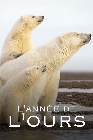 L'Année de l'ours poster