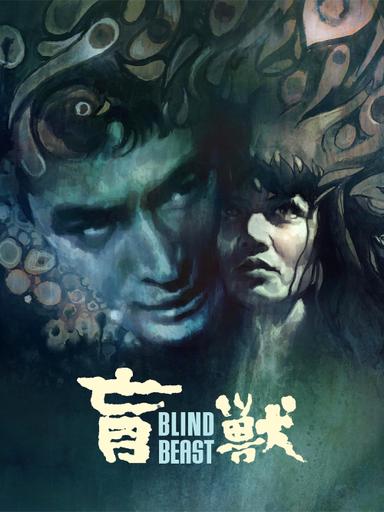 Blind Beast poster