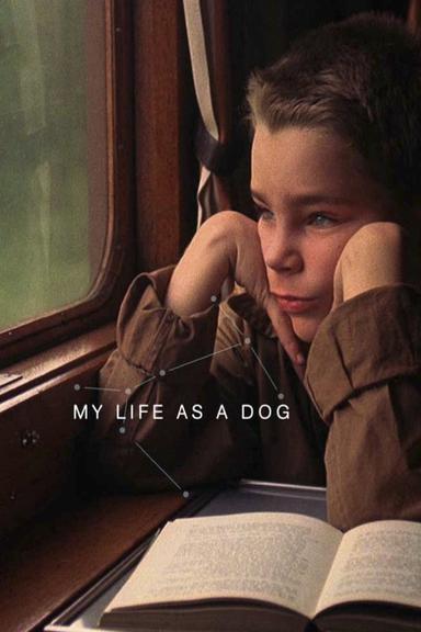 My Life as a Dog poster