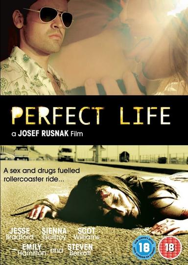 Perfect Life poster