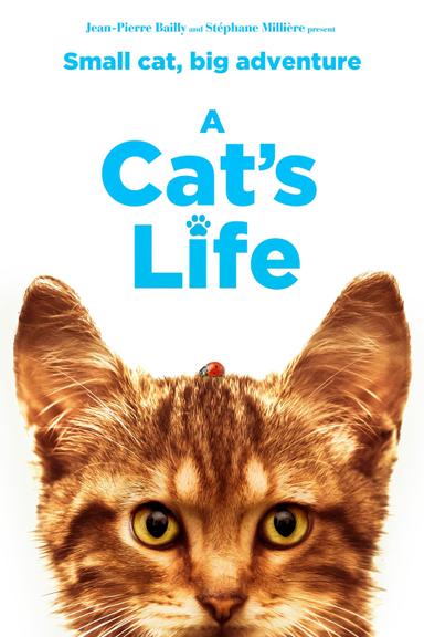 A Cat's Life poster