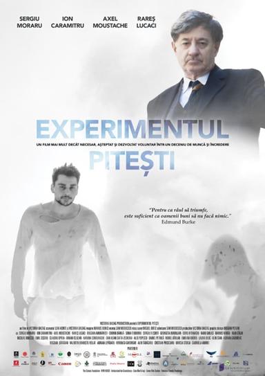 The Pitești Experiment poster