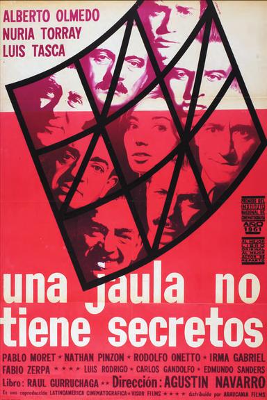 Una jaula no tiene secretos poster