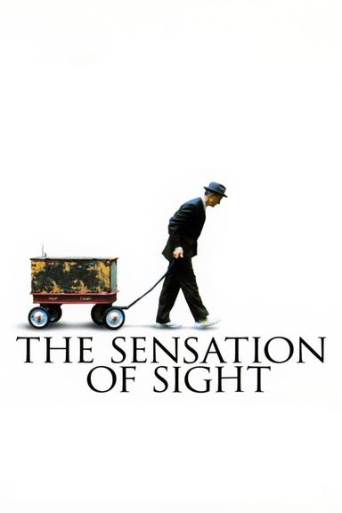 The Sensation of Sight poster