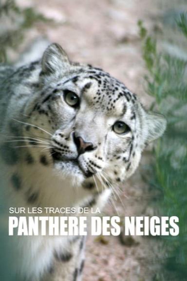 Sur les traces de la panthère des neiges poster