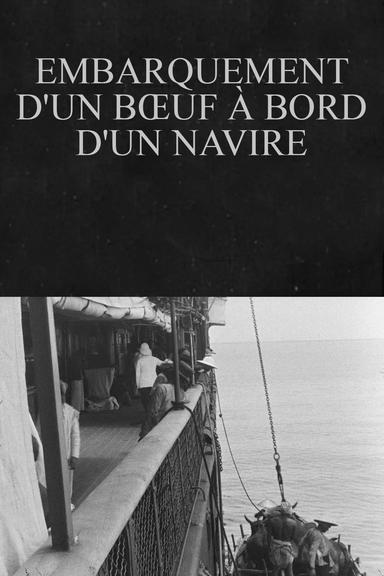 Embarquement d'un bœuf à bord d'un navire poster