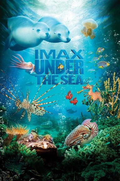 Under the Sea 3D poster