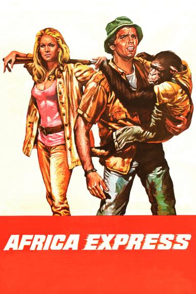 Africa Express poster