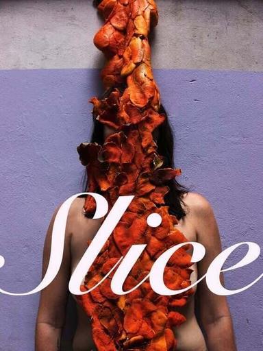 Slice poster