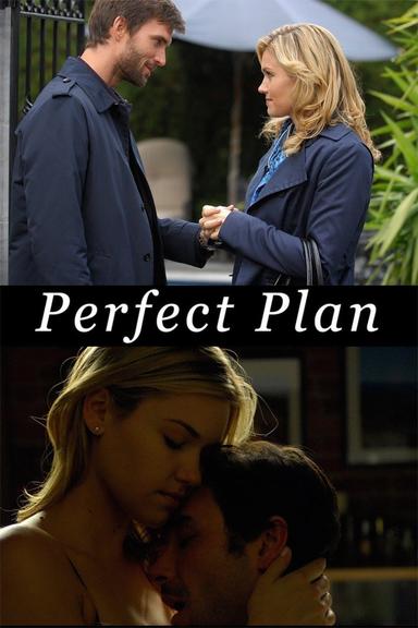 Perfect Plan poster