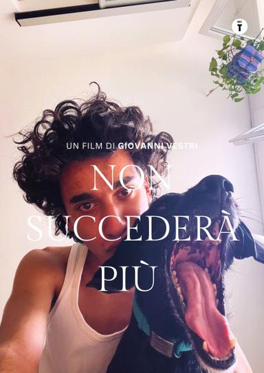 Non succederà più poster