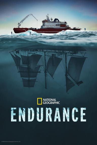 Endurance poster