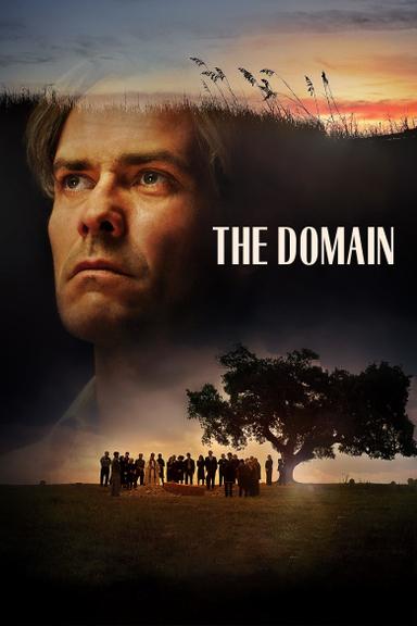 The Domain poster