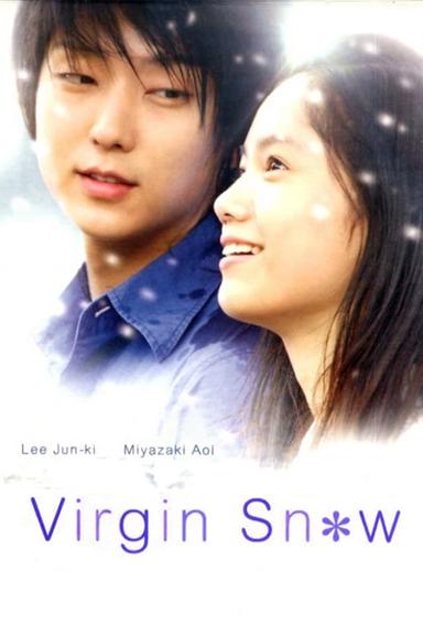 Virgin Snow poster