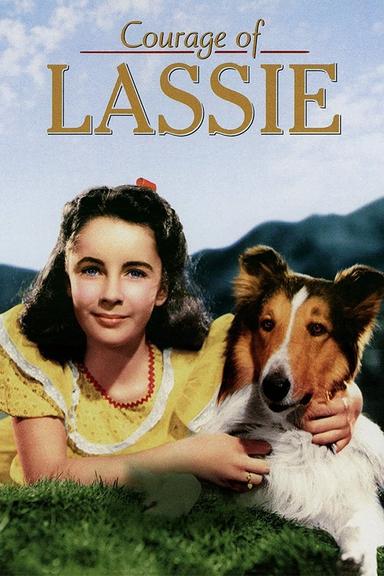 Courage of Lassie poster