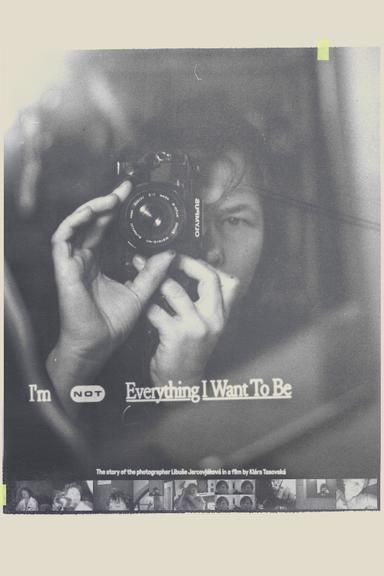 I'm Not Everything I Want to Be poster