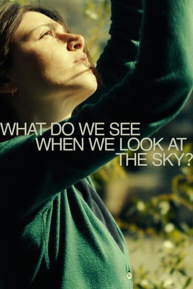 What Do We See When We Look at the Sky? poster