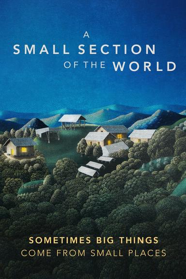 A Small Section of the World poster