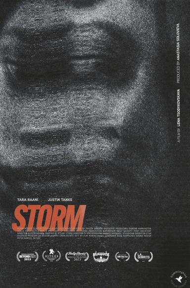 Storm poster