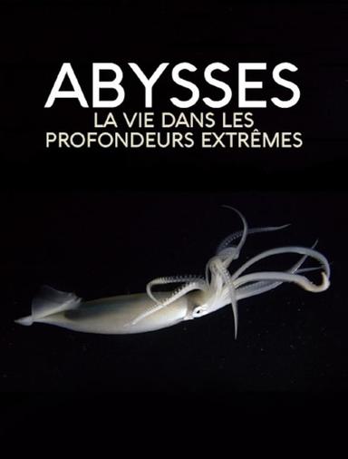 Extreme der Tiefsee - Abysses poster