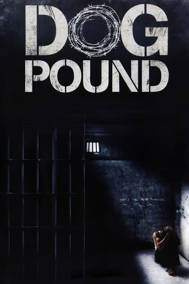 Dog Pound poster