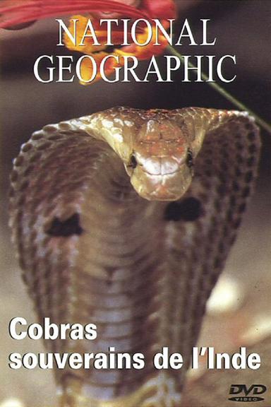 National Geographic : Cobras souverains de l'inde poster