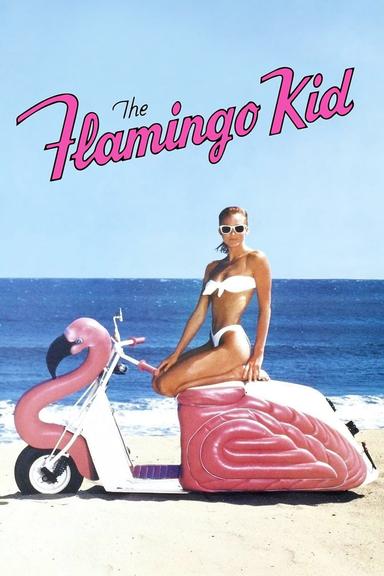 The Flamingo Kid poster