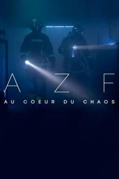 AZF : au cœur du chaos poster