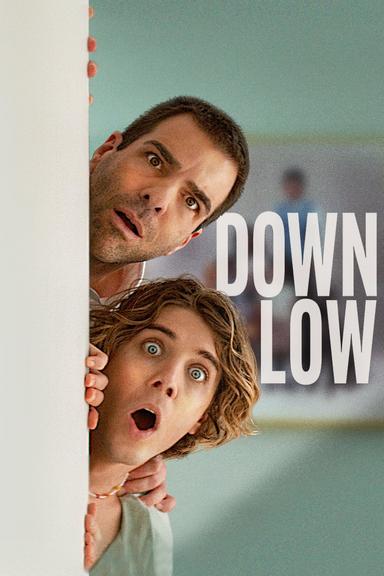 Down Low poster