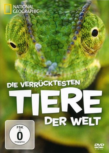 National Geographic - Die verrücktesten Tiere der Welt poster