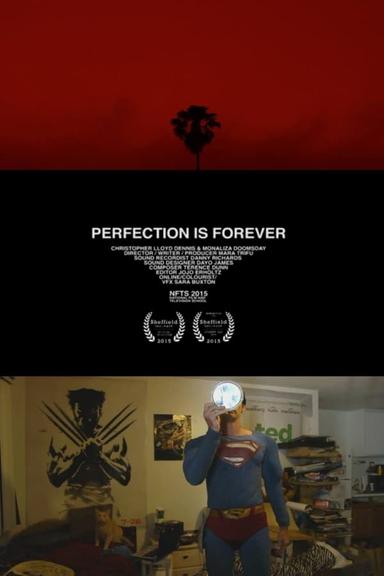 Perfection Is Forever poster