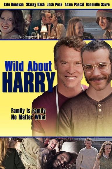 Wild About Harry poster